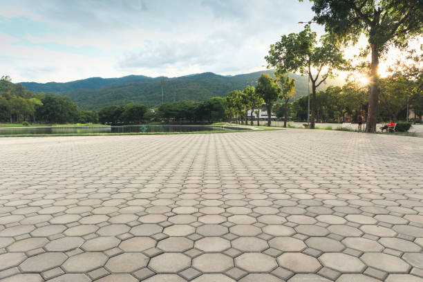 Best Residential Driveway Paver Services  in Albany, GA